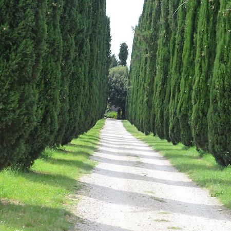 Casale Colleoni Panzió Tivoli Kültér fotó