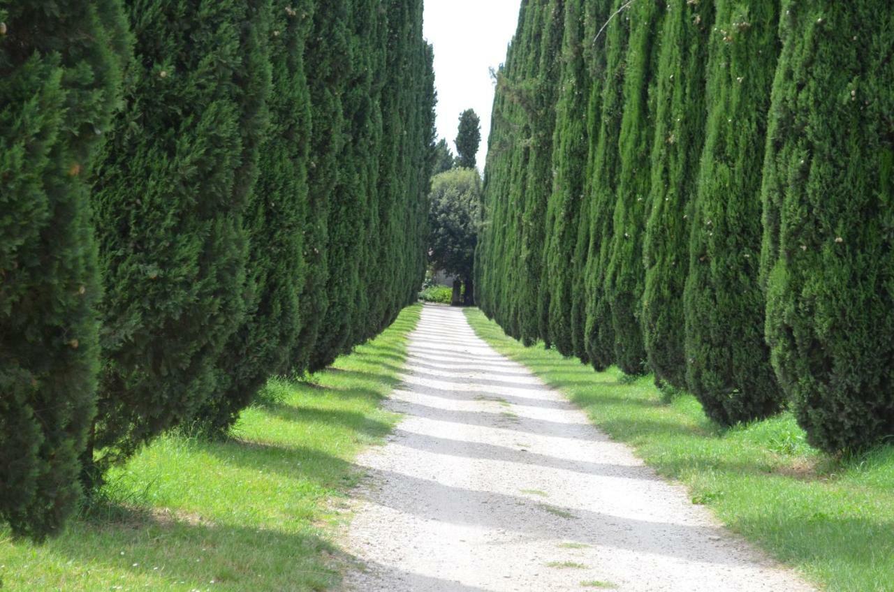 Casale Colleoni Panzió Tivoli Kültér fotó